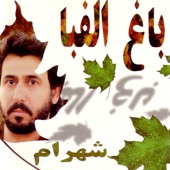 Bagheh Alephba artwork