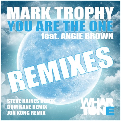 You Are the One (Remixes) [feat. Angie Brown] - EP