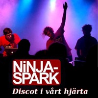 Rullskridskodisco