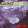 Violin Concerto In A Minor (BWV 1041), Andante