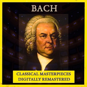 The Concerto for 2 Violins in D Minor, BWV 1043: II. Largo ma non tanto