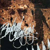 Not Another Teen Love Song