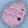 AmenNamO