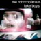 Fake Boys - The Robocop Kraus lyrics