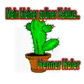 Mein kleiner grüner Kaktus