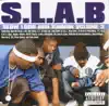 Boss, Dougie D, Jay'ton, Lil B & Trae tha Truth - Slabs On the Rise (S.L.A.B.ed)