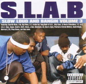 Gimme the Mic (S.L.A.B.ed)