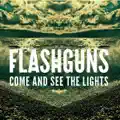 Come & See The Lights