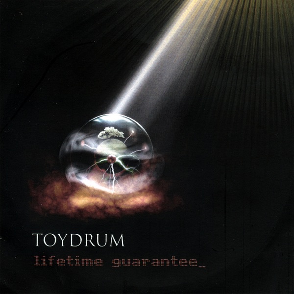 Lifetime Guarantee album cover
