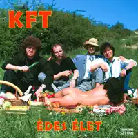Fantasztikus lány — KFT
