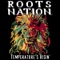 Shark Attack - Roots Nation lyrics