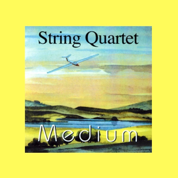 Обложка альбома «String Quartet (Medium)» — Delmé Quartet