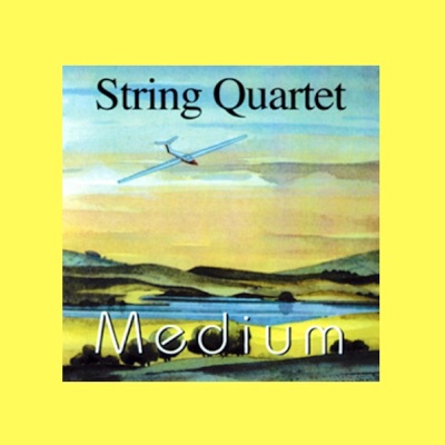 String Quartet (Medium)