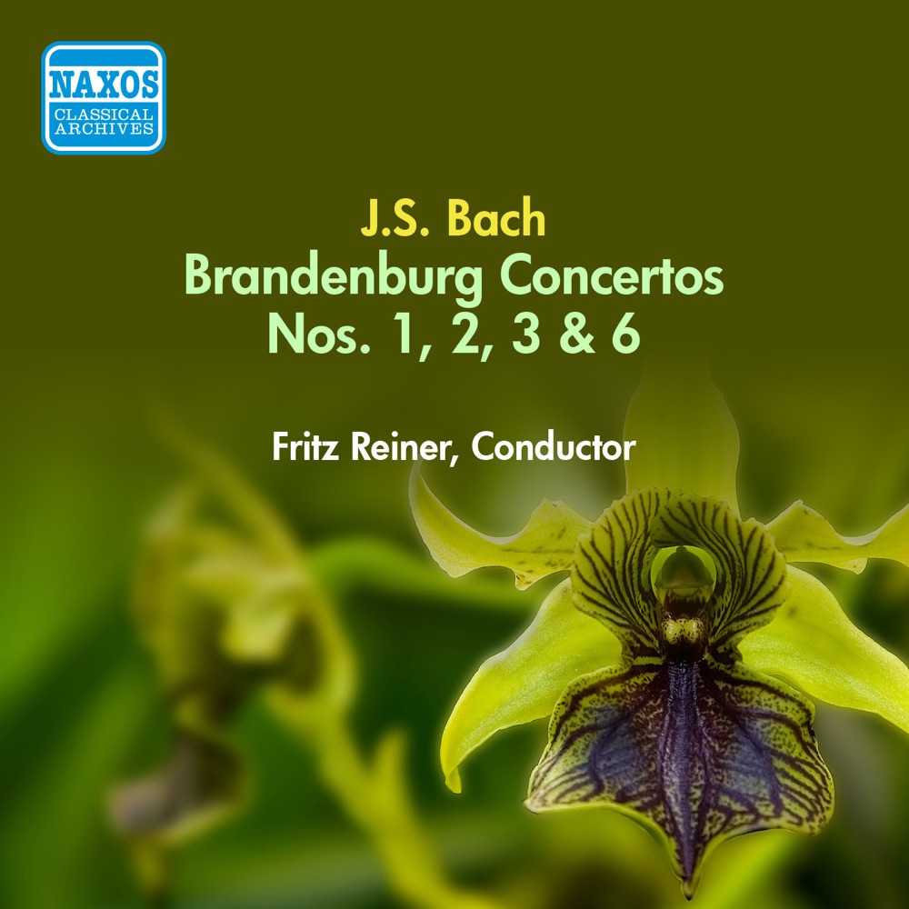 Обложка альбома «Bach, J.S.: Brandenburg Concertos Nos. 1-3, 6 (Reiner) (1949)» — Fritz Reiner, Studio chamber orchestra, Robert Bloom, Weldon Wilber, Hugo Kolberg, Julius Baker, Leonard Rose, Fernando Valenti, William Vacchiano, Felix Eyle, William Lincer & Nicholas Biro