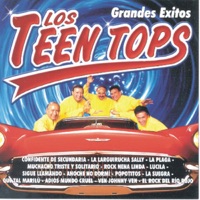 Los Teen Tops - La Plaga