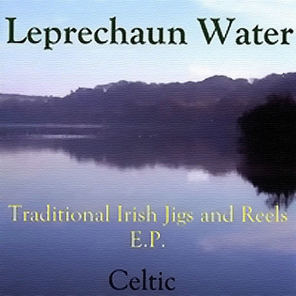 Pochette Irish Jigs And Reels