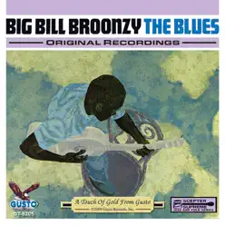 The Blues - Big Bill Broonzy