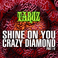 Shine On You Crazy Diamond (Part I-V)