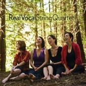 Real Vocal String Quartet - Night Game