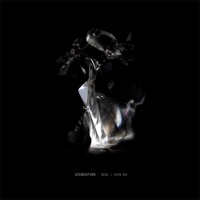 Risk / Sun Ra - Single - Stereotype