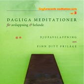 Dagliga Meditationer För Avslappning Och Helande artwork