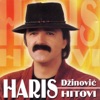 Haris Dzinovic - I Tebe Sam Sit Kafano