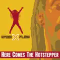Here Comes The Hotstepper
