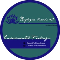 Beautifull Madness - Single - Experimental Feelings