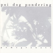 Poi Dog Pondering - Complicated