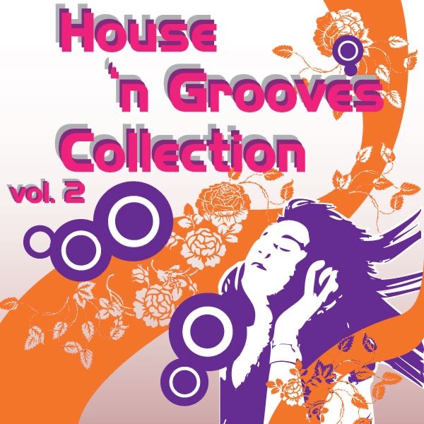House 'n Grooves Collection Vol. 2