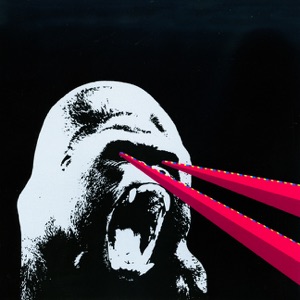 The Copyrights / the Brokedowns Split
