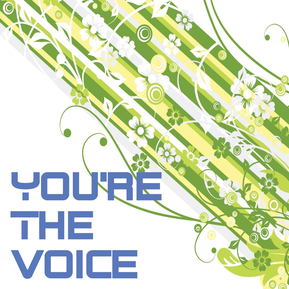 Обложка альбома «You're The Voice - Single» — National Symphony Orchestra Of South Africa