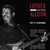 Luther Allison - Cherry Red Wine