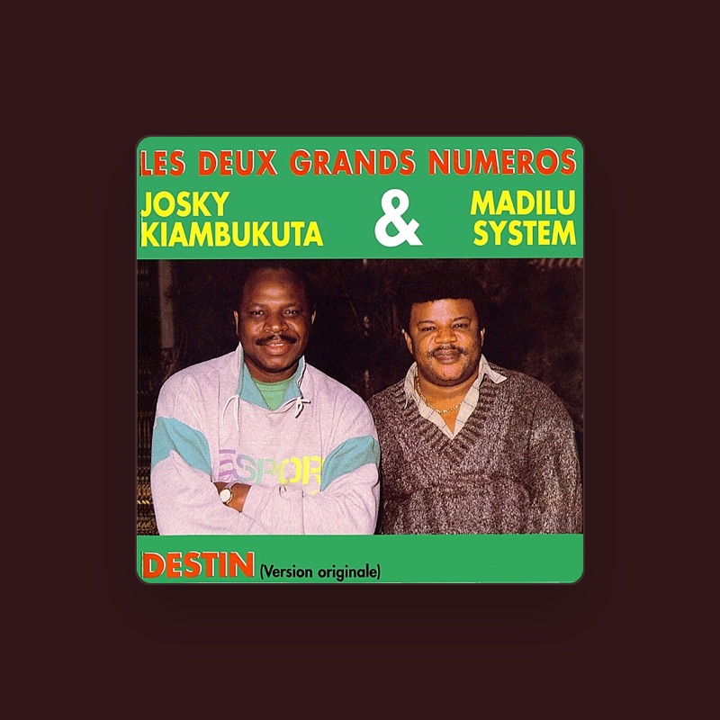 Madilu System
