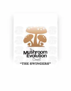 Listen to The Swingers, watch music videos, read bio, see tour dates & more!