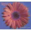 Xkollective - Boosted