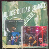 Blues Guitar Summit