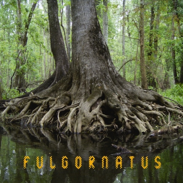 Обложка альбома «Fulgornatus» — Blaise Siwula & John Gilbert