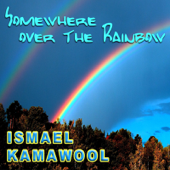Somewhere over the Rainbow (Radio Version) - Music Emotions