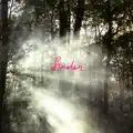 Maggie's Song for Alice