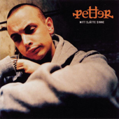 Mikrofonkåt song art