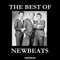 Run Baby Run - Newbeats lyrics