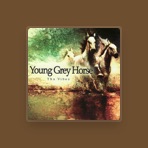 Young Grey Horse