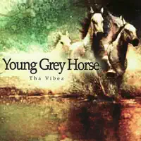 Hit N' Run — Young Grey Horse