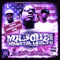 Its Goin' Down (Illwillz Simmered & Sliced Remix) - Mr. Sche & Immortal Lowlife