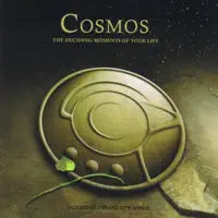 Intro — Cosmos