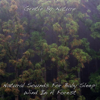 Natural Sounds for Baby Sleep: Wind In a Forest - Gentle By Nature