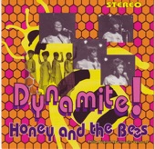 Honey & The Bees - Love Addict