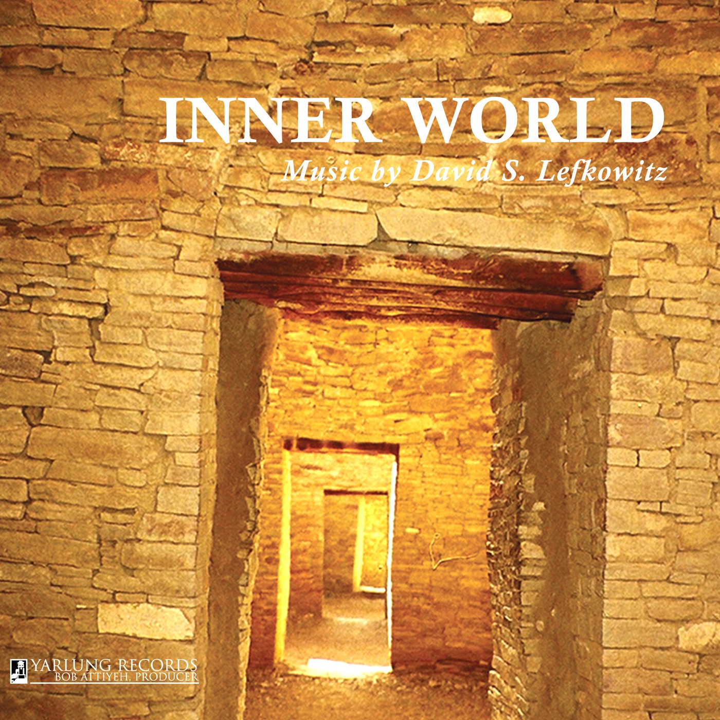Inner World by Lynn Vartan, David Fung, David S. Lefkowitz, Julie Long, Andrea Thiele, Carter Dewberry, Paul Coletti, Silu Fei, Ralph Williams, Elinor Frey, Serena McKinney & Katie Kadarauch album cover
