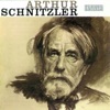 Arthur Schnitzler Amerika Arthur Schnitzler